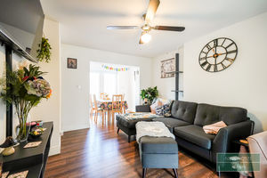 Photo 17- click for photo gallery